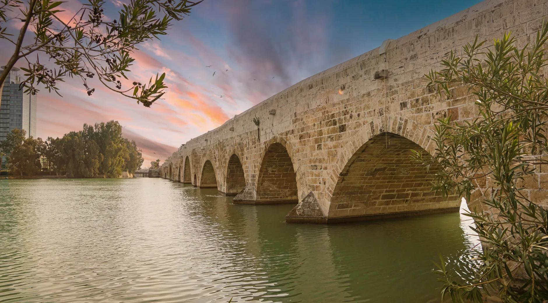 Stone (Taşköprü) Bridge's image