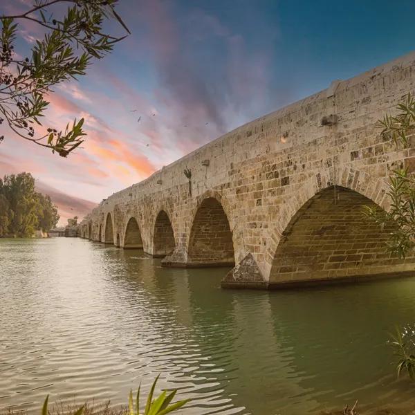 Stone (Taşköprü) Bridge