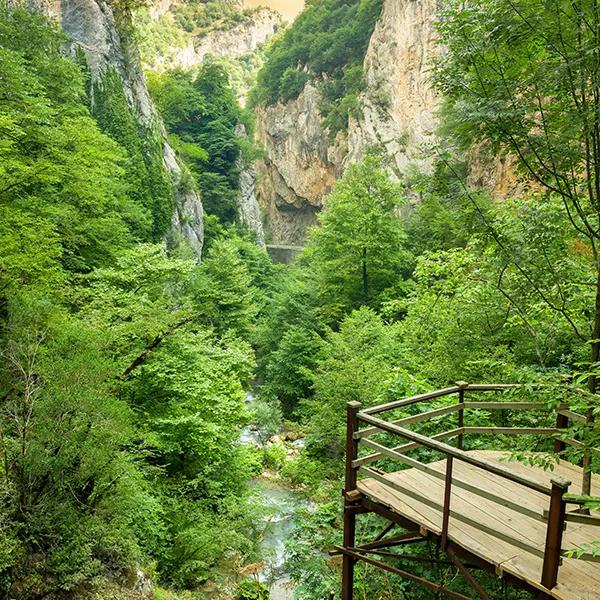 Şeker Canyon