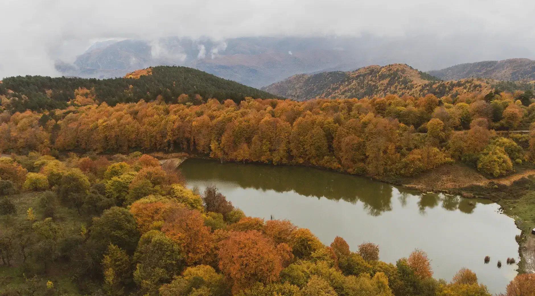 Yenice Forests's image