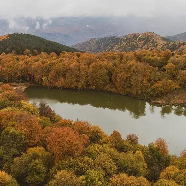 Yenice Forests